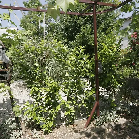 Apartment Irena Krk