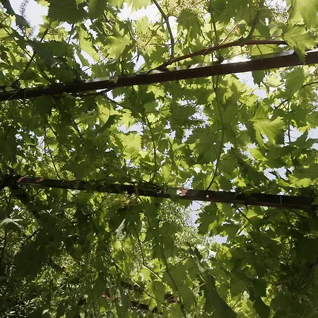 Irena Krk Apartamento Krk Town